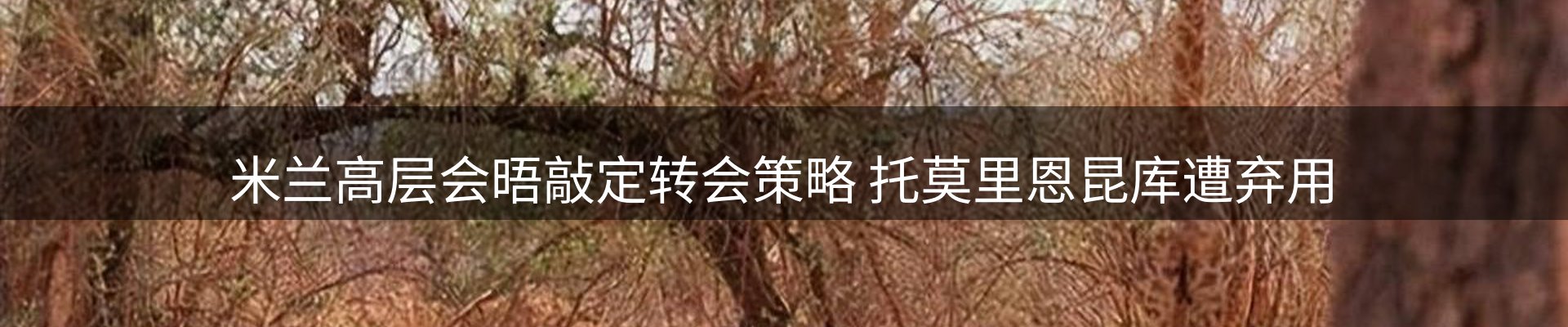今日资讯